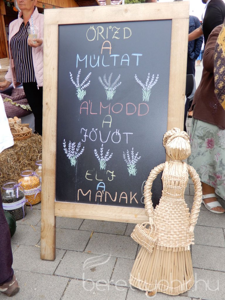 Helyi Értékek Startja 46